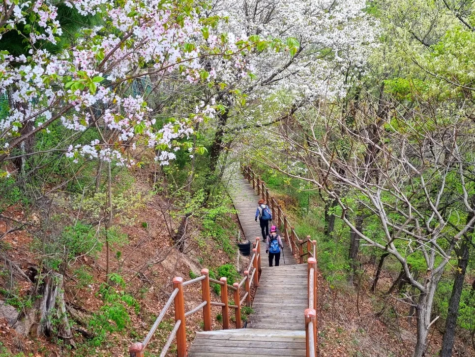 SE-346787c6-2a8d-4a7f-ba27-b80d80d5e871.jpg?type=w966