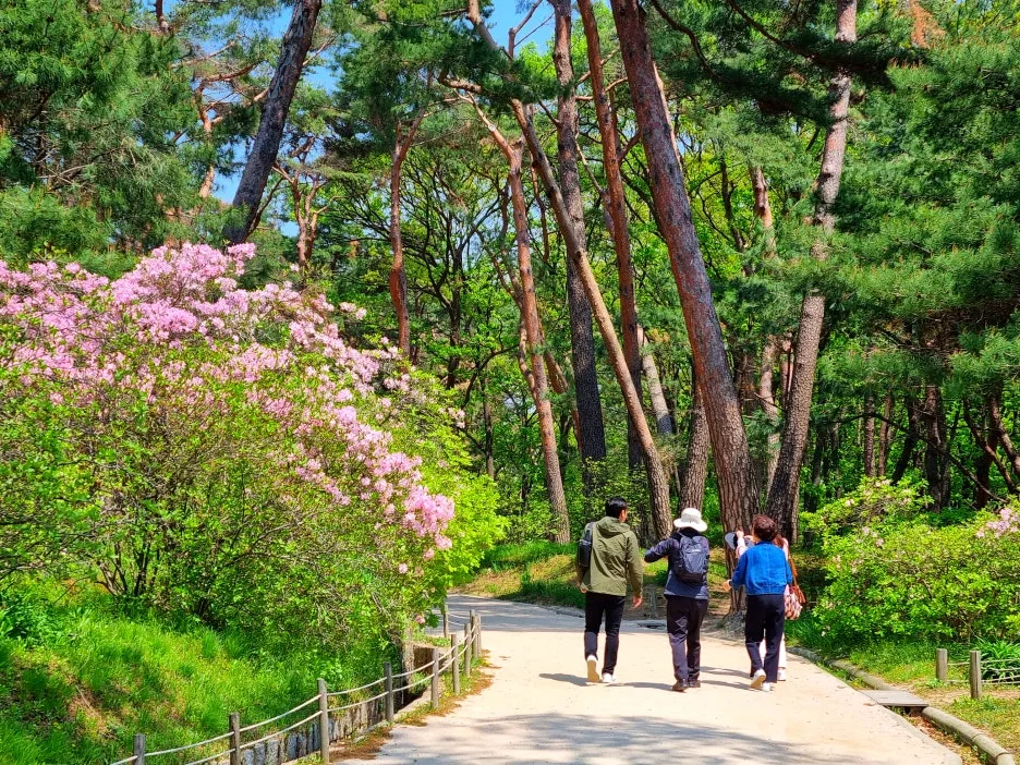 SE-0cbec3d8-9cc5-4e02-b0d7-685dc6e4deab.jpg?type=w1