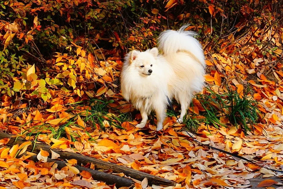 SE-b3989843-9eff-4f72-92cc-dcc10ebd103c.jpg?type=w1