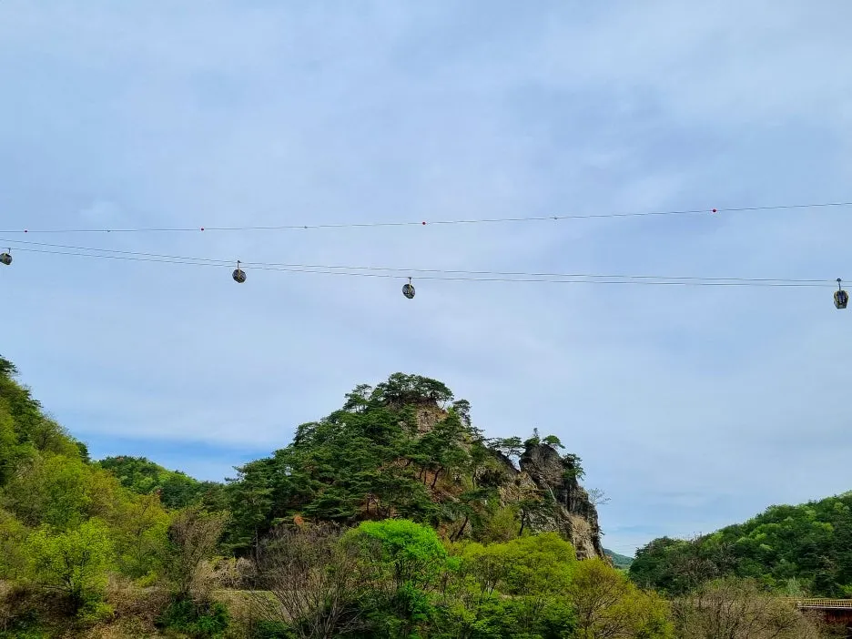 SE-94cb13b8-cd85-4e5e-a853-ebe6fc692327.jpg?type=w1