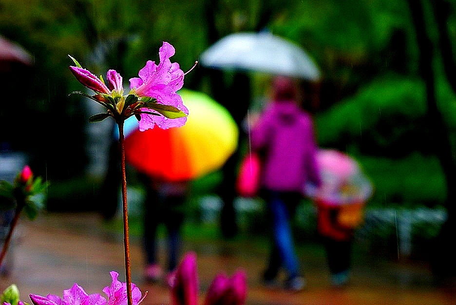 SE-2301bb9e-efea-4ed9-b51d-d0cf498ddc10.jpg?type=w966