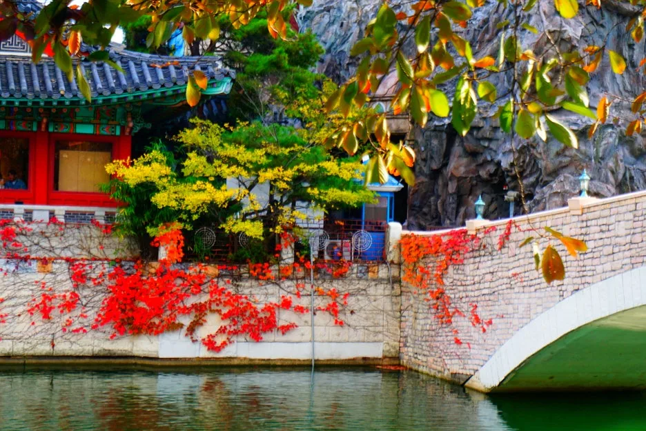 SE-b12b87e3-7c12-4c63-acde-8ef3c4796c35.jpg?type=w1