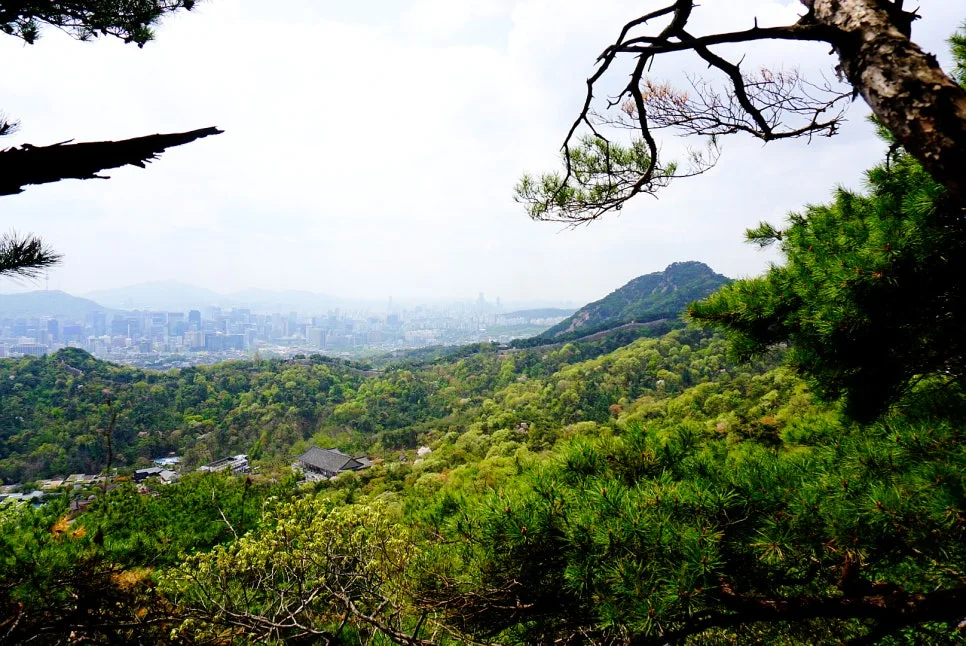 SE-e43353c9-44b3-4cd2-9223-b332c5c5d4e0.jpg?type=w966