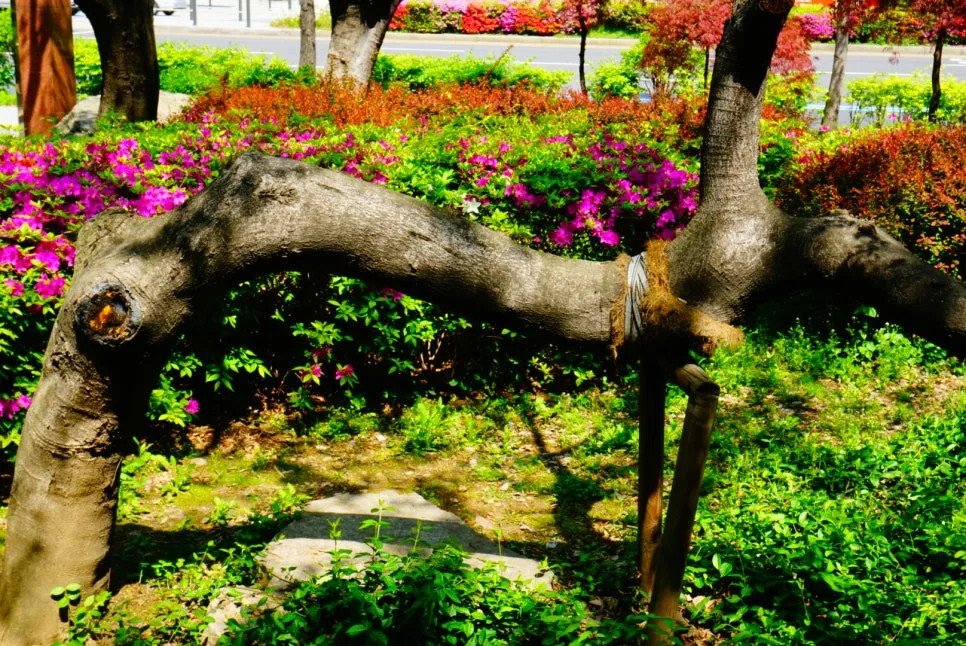 DSC01377.JPG?type=w966