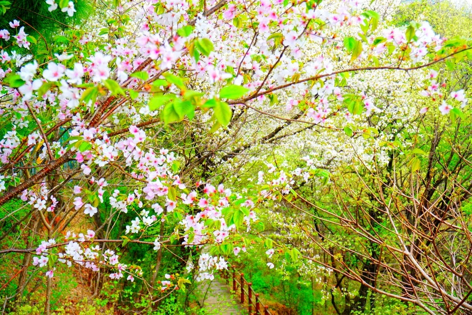 SE-05019adb-e9ad-4add-89c9-f5bc05c00737.jpg?type=w966