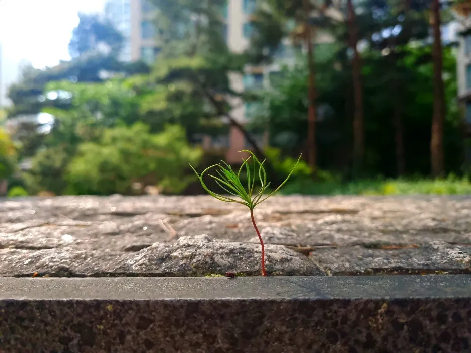 SE-ae921fc8-341b-48c3-ba49-02be61fce7c0.jpg?type=w1