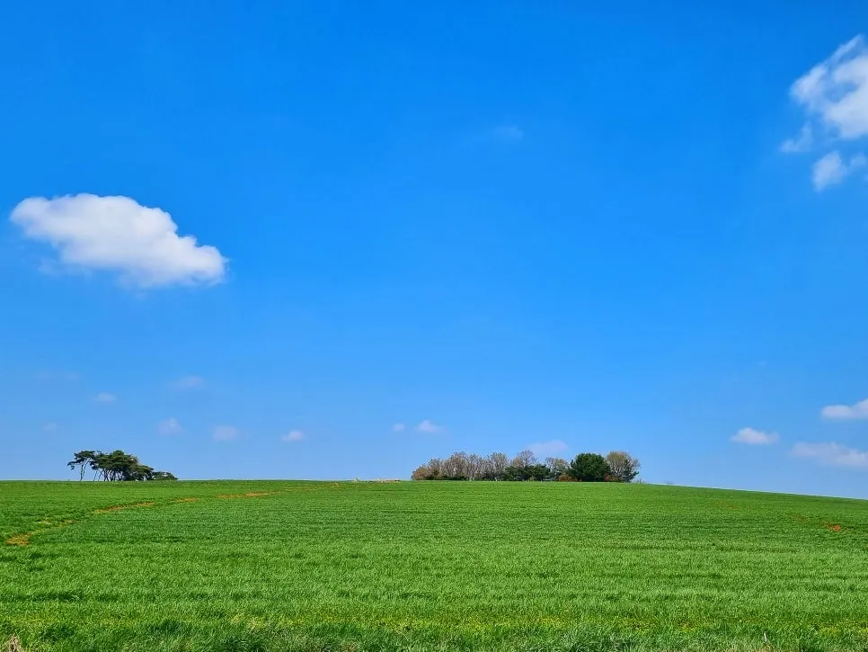 SE-ef98c98f-e12b-4cff-afe0-ca7f7fa83392.jpg?type=w966