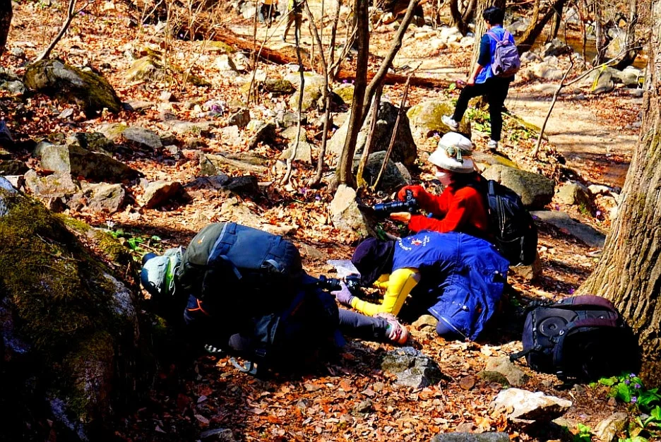 SE-2b6cacd3-df40-444a-9920-1afed6b9a161.jpg?type=w1