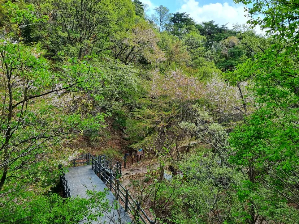 SE-f0483d25-6fe8-4ea4-aafd-02ba76a59d88.jpg?type=w966