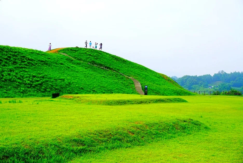 SE-c133c94f-426d-4a0c-b1fb-40c08d117895.jpg?type=w1