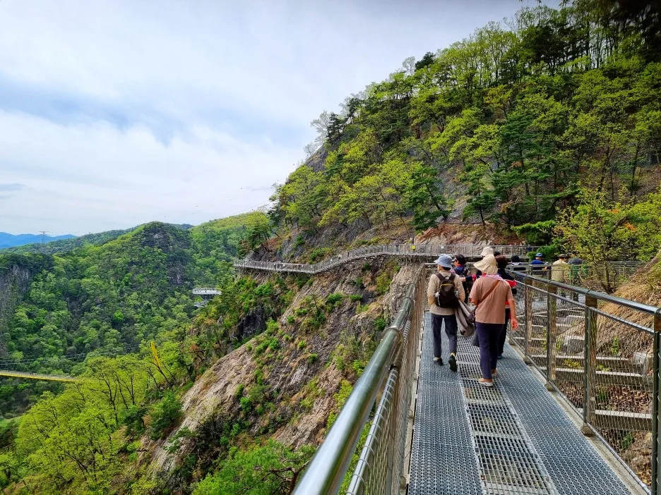 SE-b4172006-b1d1-43c9-a39b-f9ff94e80a64.jpg?type=w1