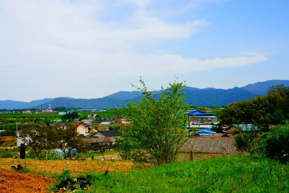 SE-51ac8445-4332-46fb-a860-2a9078dbabd9.jpg?type=w1