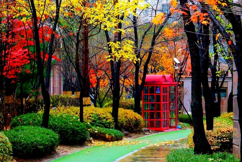 SE-a9de0a3f-24fd-40eb-a107-6a5f6c63506b.jpg?type=w1