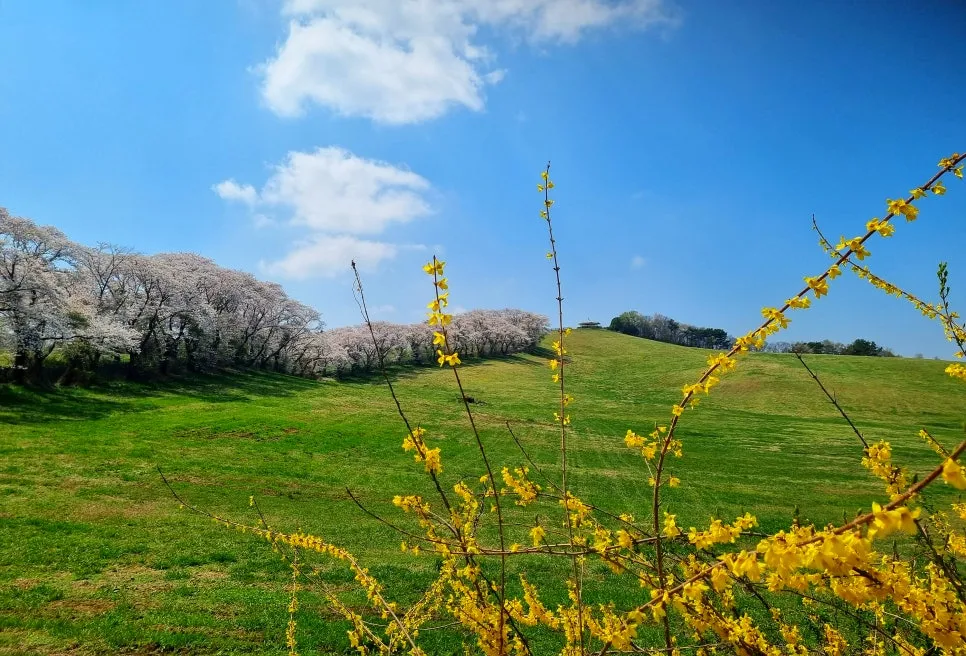 SE-2b48b05d-3192-451a-a54e-c8e07914bbb3.jpg?type=w966