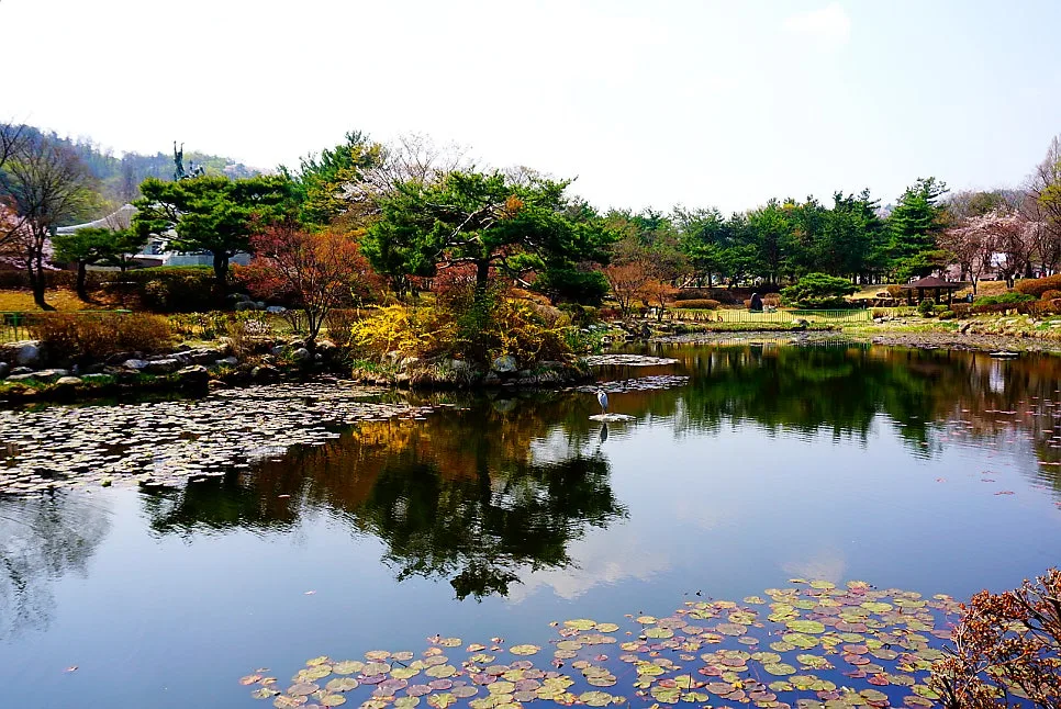 SE-abcf9541-2890-4dc5-bb48-0c89f5bf615c.jpg?type=w966