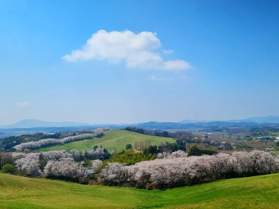 SE-589f6645-4da2-42ac-9ad2-21e82c56fe5d.jpg?type=w966