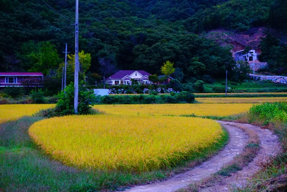 SE-1934e5d3-eba6-4e61-b6db-a93f7a45b99f.jpg?type=w1