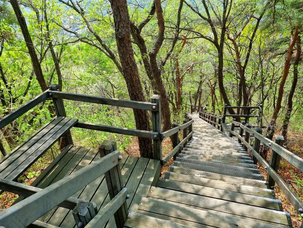 SE-e63bd7d6-6cdb-4869-bae4-6729789e36c2.jpg?type=w966