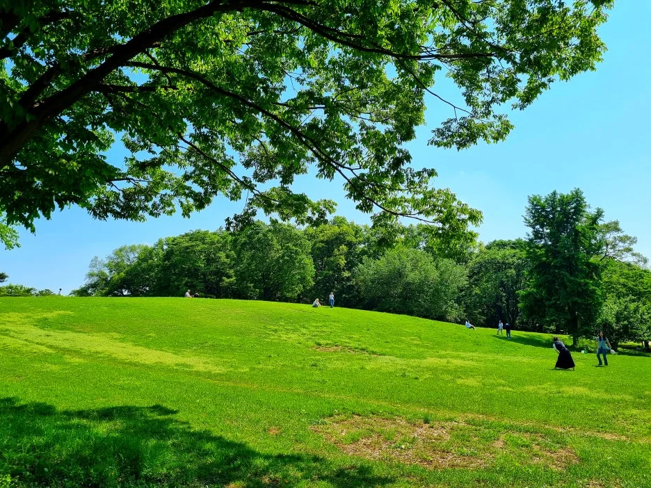 SE-f921dad0-a909-4446-89c2-36f787d47a17.jpg?type=w1