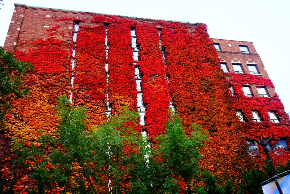 SE-3109a969-592c-4341-8776-b79c1c39fa35.jpg?type=w1