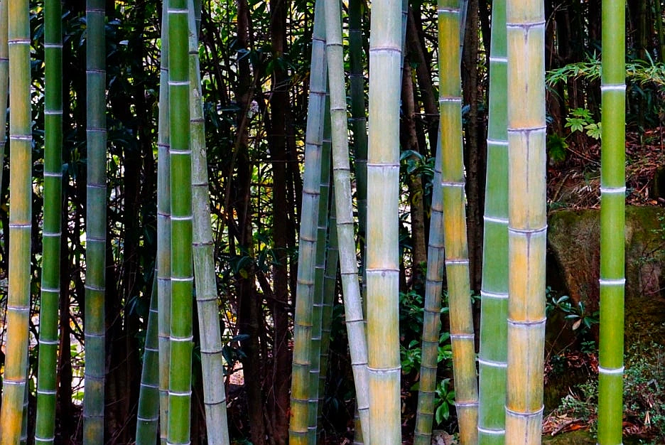 SE-ab29009e-9ec8-4133-bbad-7a6129a7f4b5.jpg?type=w1