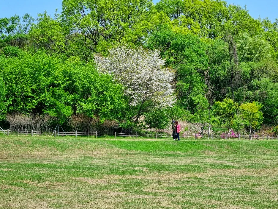 SE-0c75cd20-b948-4f96-86ae-2732b56972de.jpg?type=w1