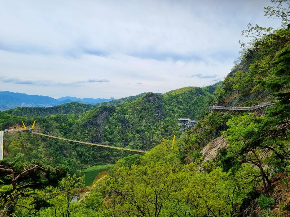 SE-bcff588f-13f2-41dc-9ccf-b63952dcb5d6.jpg?type=w1