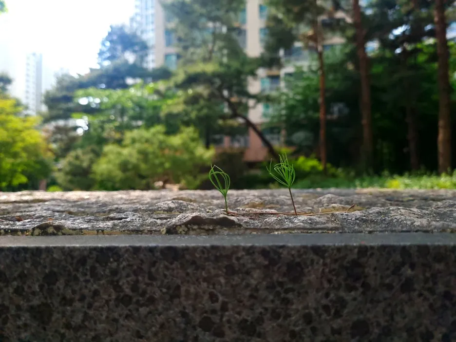 SE-a05d6b1d-eb70-4029-a13a-4c3d990287d4.jpg?type=w1