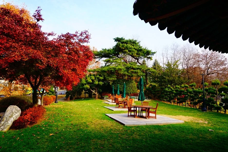 SE-c70bdc61-b16d-40b4-8fb1-28f6f2e1bf88.jpg?type=w1