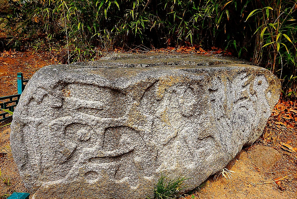 SE-75aa07e8-a146-4072-8ee8-f7d5525cca19.jpg?type=w966