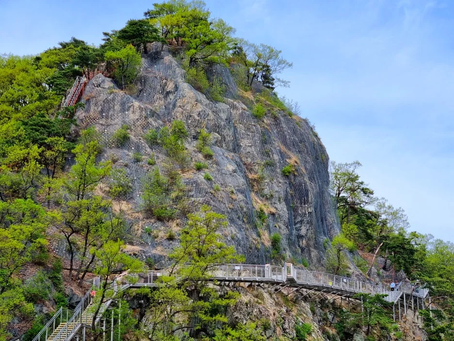 SE-69e7b9ed-c0fe-48a6-bc20-a3d8029a72c5.jpg?type=w1