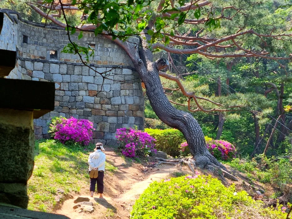 SE-113ab29d-7e33-46aa-9f41-52cadd3ed60c.jpg?type=w1