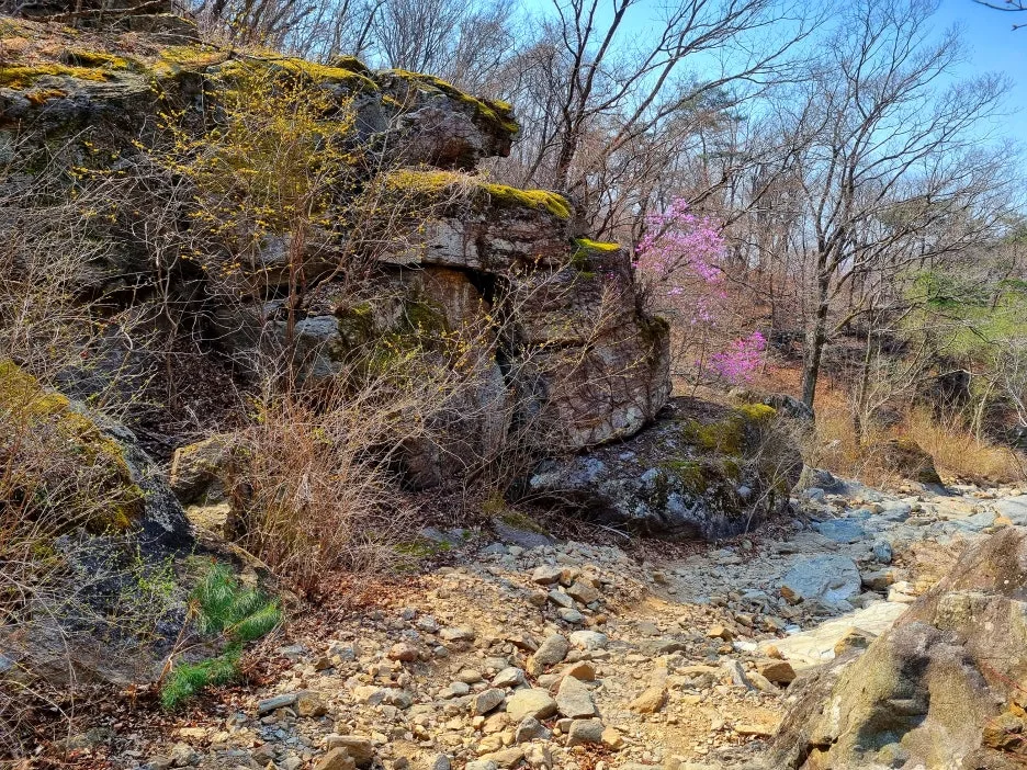 SE-72facbf7-a050-4642-955c-3863a0026fa9.jpg?type=w1