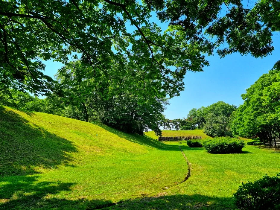 SE-84fc902e-a627-4039-8cb5-78e6095c3405.jpg?type=w1