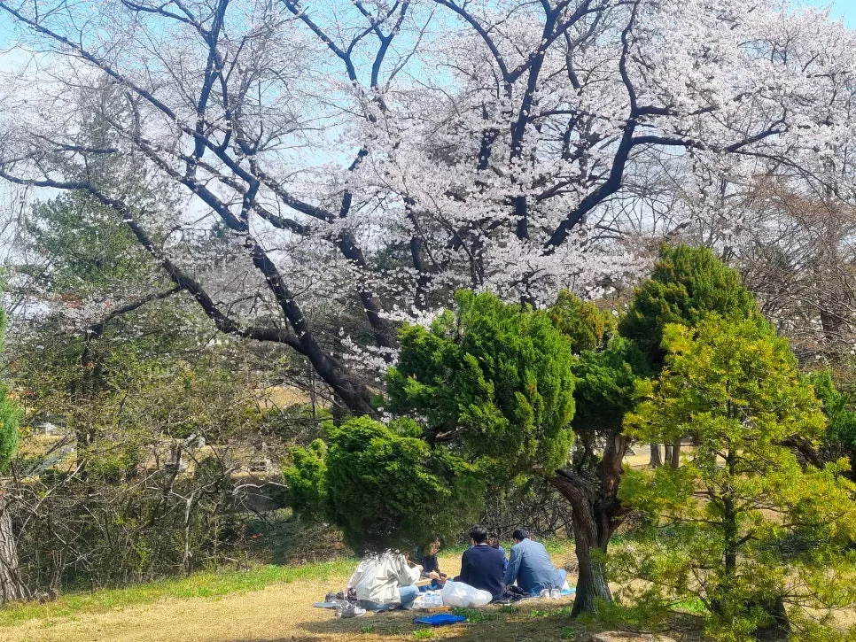 SE-a00ceb02-2f2c-4dc0-b572-54b9709d7077.jpg?type=w966