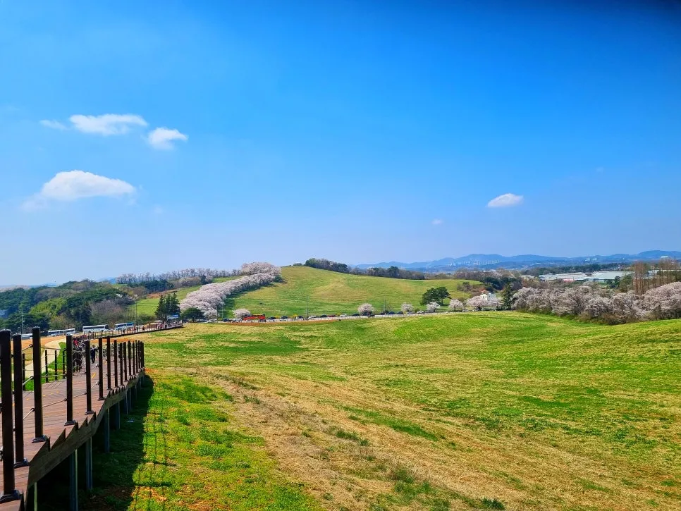 SE-ca56deea-77fc-4883-a0d6-e1dab50474c8.jpg?type=w966