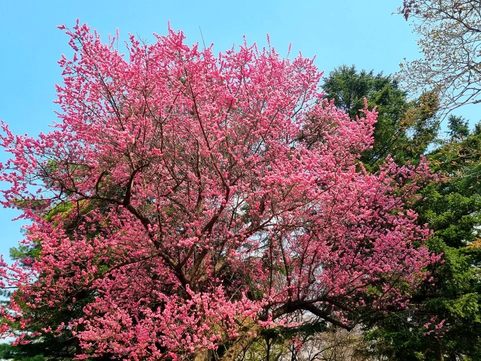 SE-3678d0d0-d58b-4ee3-99a1-298cbf74ee99.jpg?type=w966