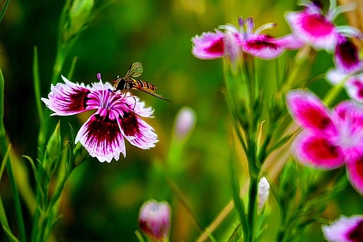 SE-548ab2c0-a15a-4813-9d58-f8c891dea6bb.jpg?type=w966