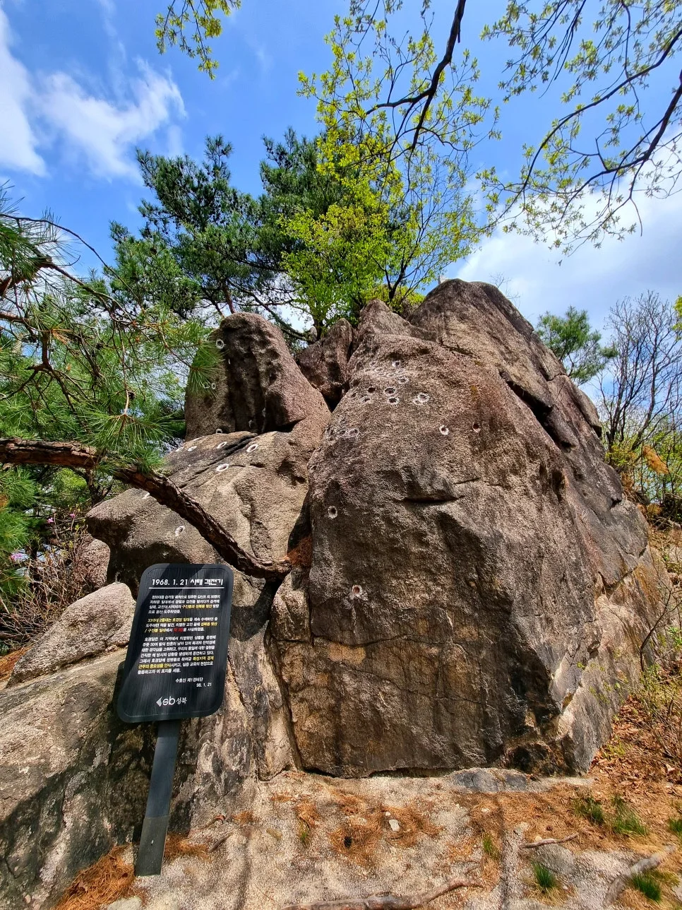 SE-14adfeeb-e90d-42a0-b646-75e0cff50434.jpg?type=w966