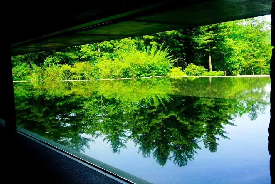 SE-b549a9eb-3872-4a1c-9656-7b56de346492.jpg?type=w1