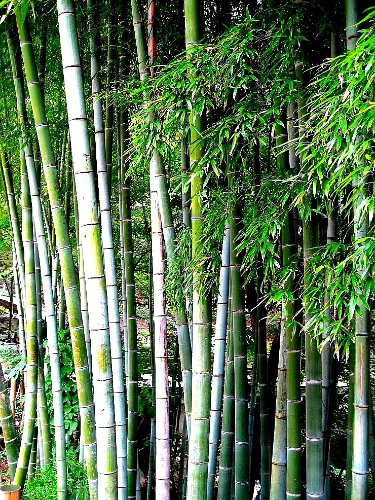 SE-617250af-360c-4f87-bd8c-72fd6ddd7aff.jpg?type=w1