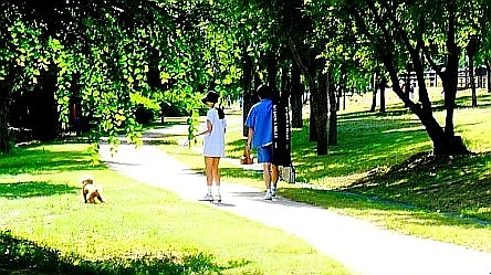 SE-6273cefc-b15a-4359-8930-444fb4cfc4fc.jpg?type=w1