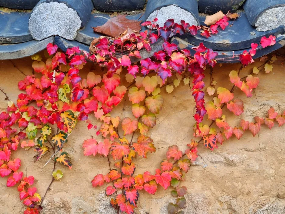 SE-bfb316d1-e73a-4dfc-916d-8aa58bf57b64.jpg?type=w1