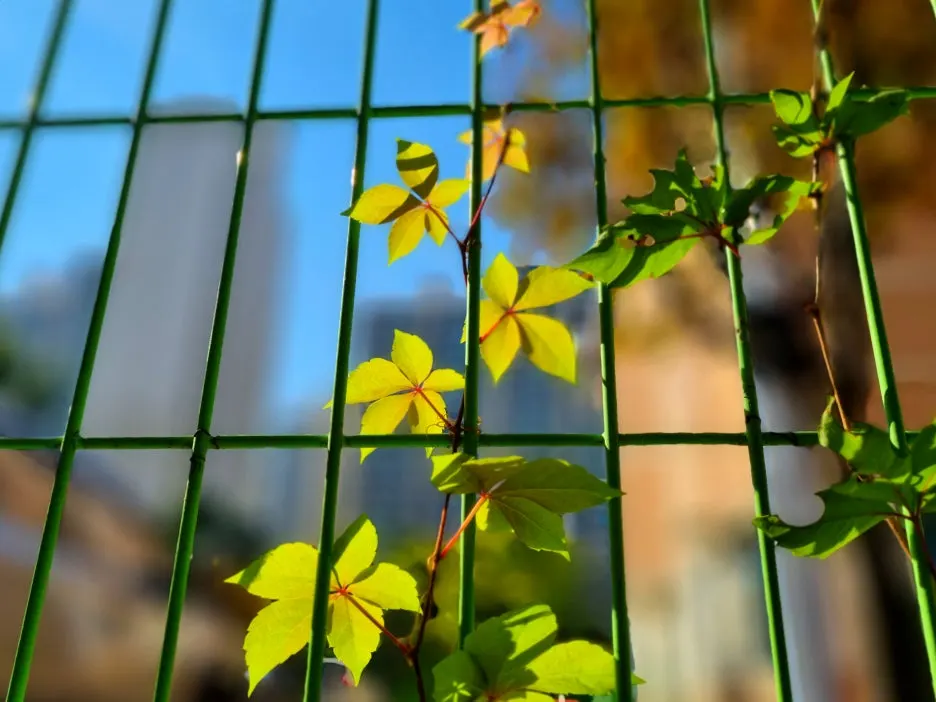 SE-ec545a0a-a70d-49ac-92ee-e597001e53d1.jpg?type=w1