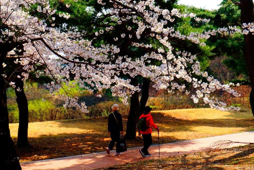 SE-12d711dd-c36b-4ad6-9ac3-1ee3e8c083c3.jpg?type=w966