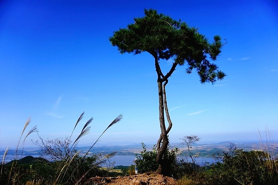 SE-4cf82129-01f6-4e78-bca8-e2c286def38f.jpg?type=w1