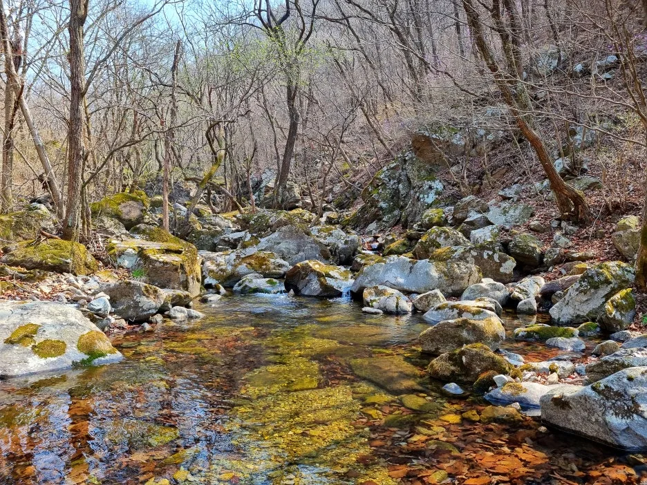 SE-5fd02a36-9725-40ec-92ff-35259ebc83a1.jpg?type=w1