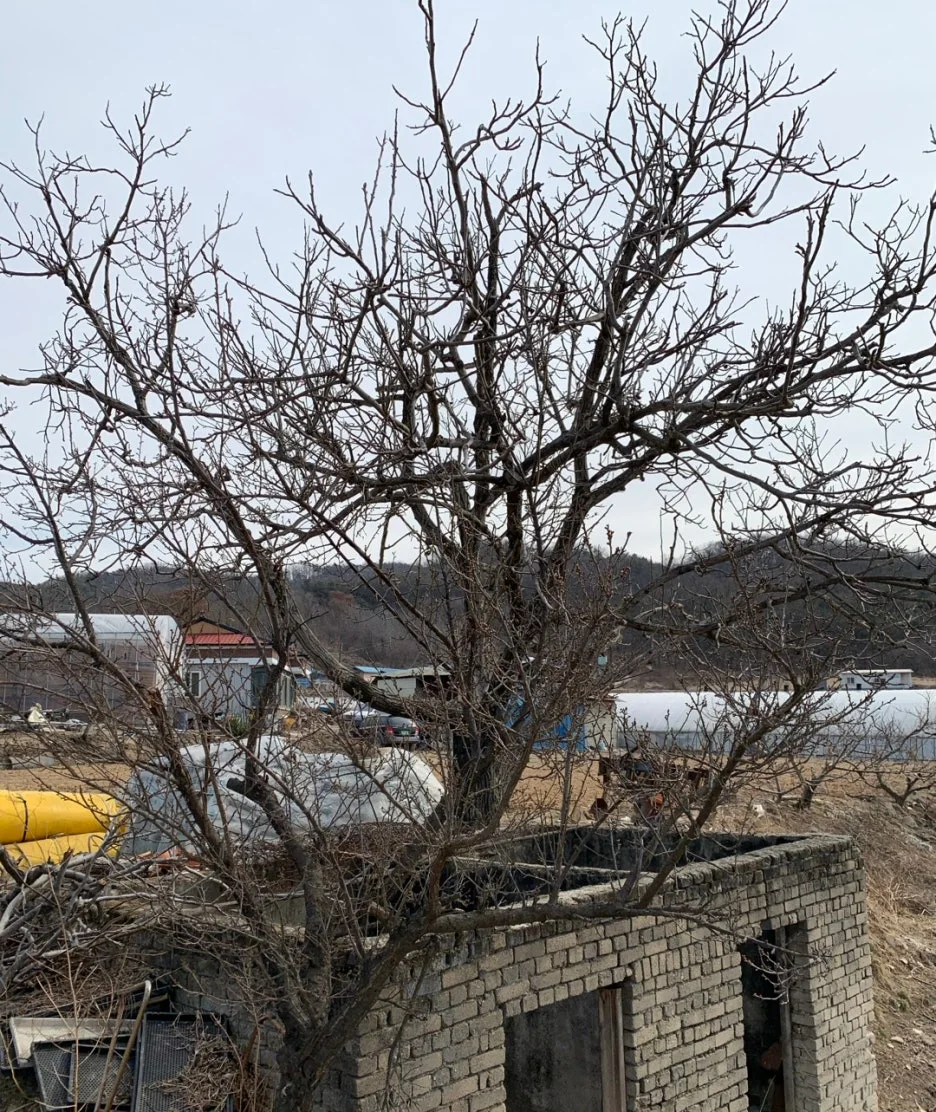 SE-f32fc035-3b77-41ec-ab72-7f3dce08e652.jpg?type=w1