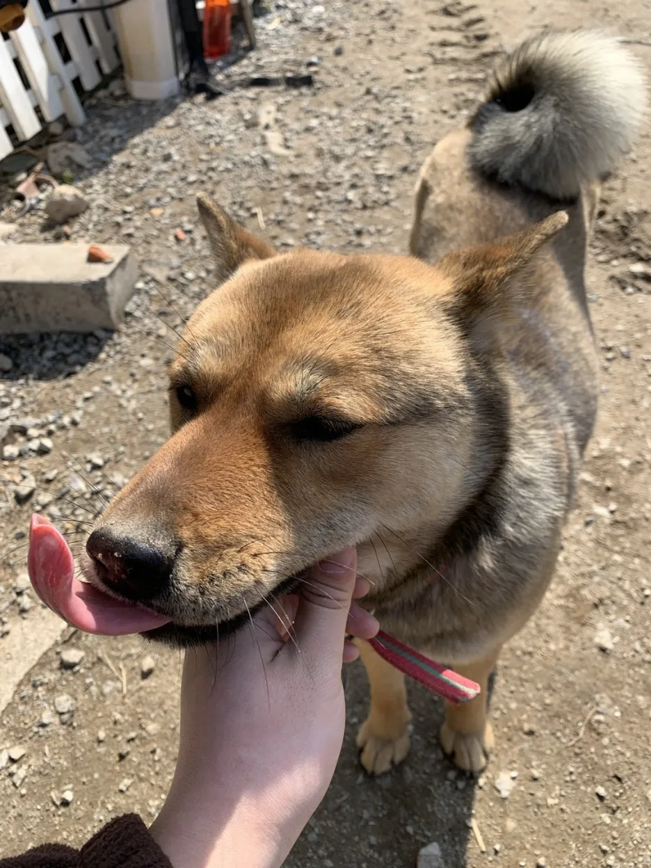 KakaoTalk_20250109_220509053.jpg?type=w1