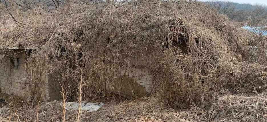 SE-11f77056-1efa-4fd1-ae78-1c6b605cd26b.jpg?type=w1